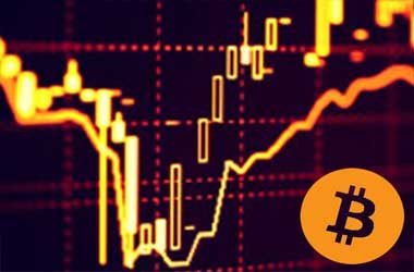 bitcoin forex trader