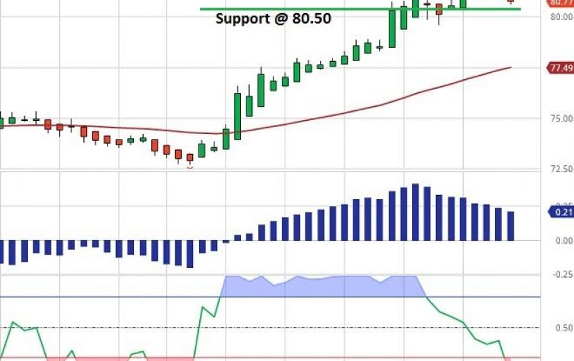 Novartis Share Price Chart